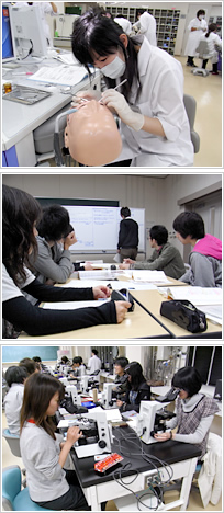 歯学部における教育の特色