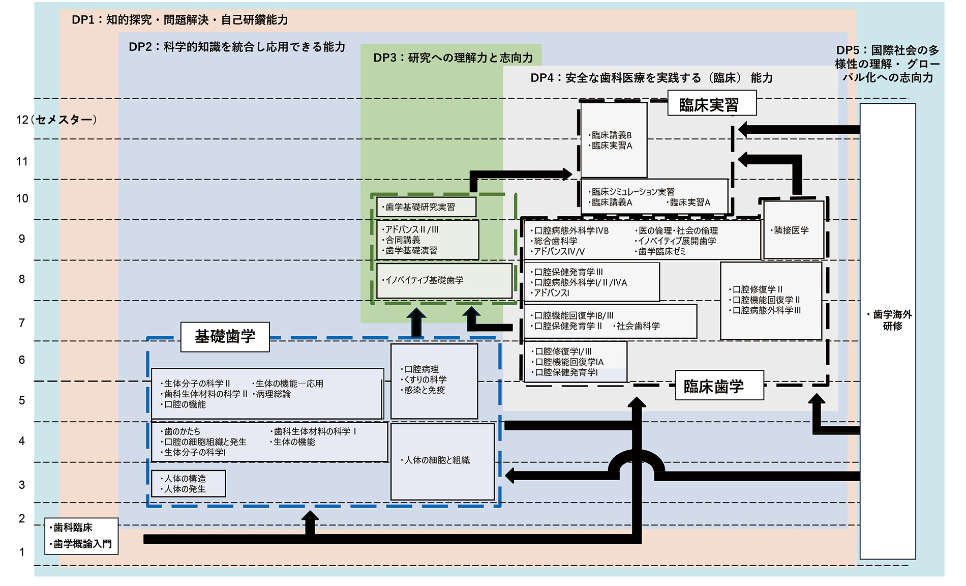 カリキュラムツリー