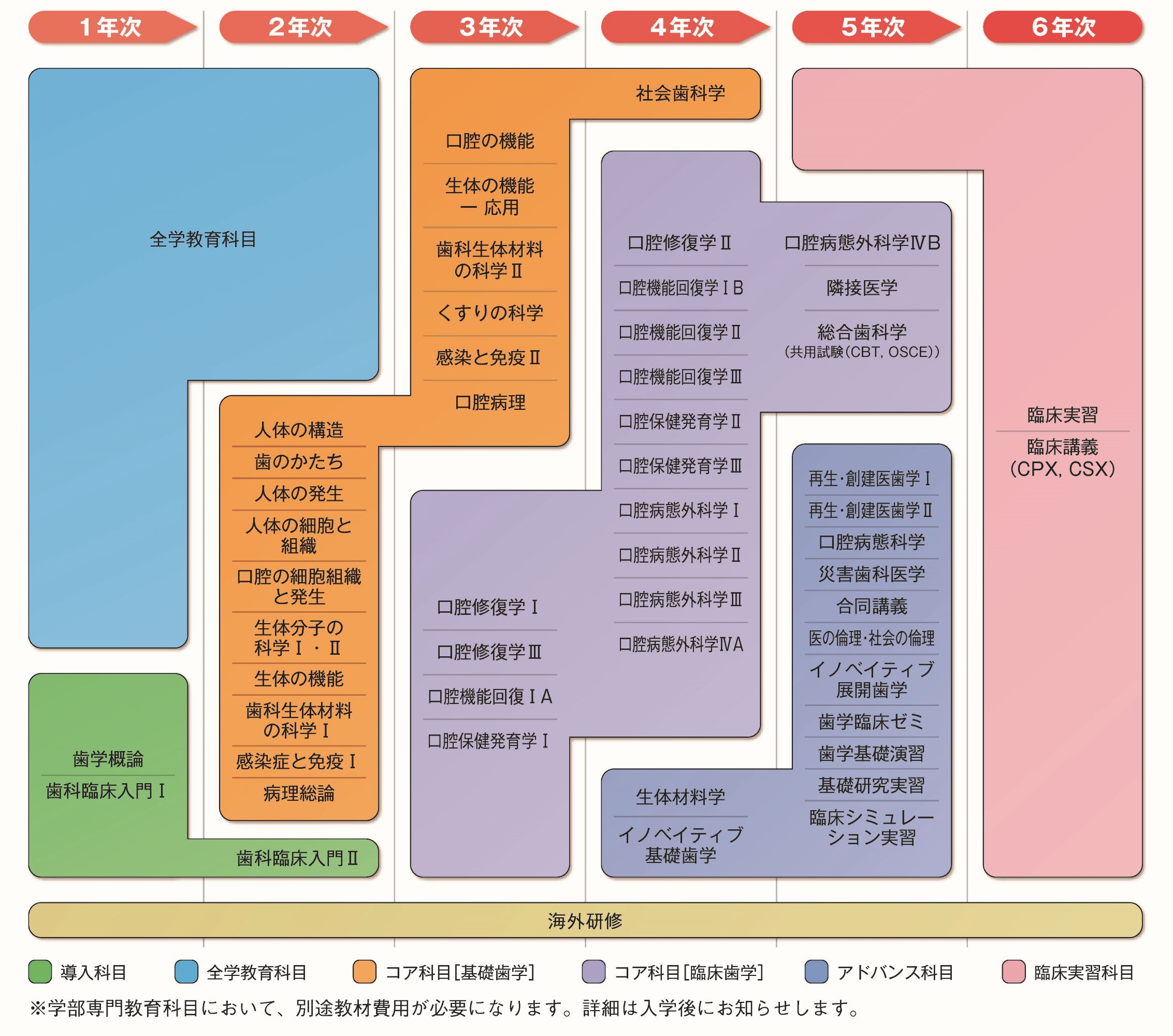 歯学部授業科目