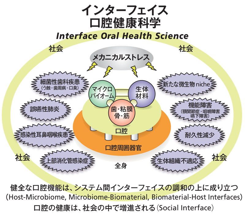 インターフェイス口腔健康科学の概念図
