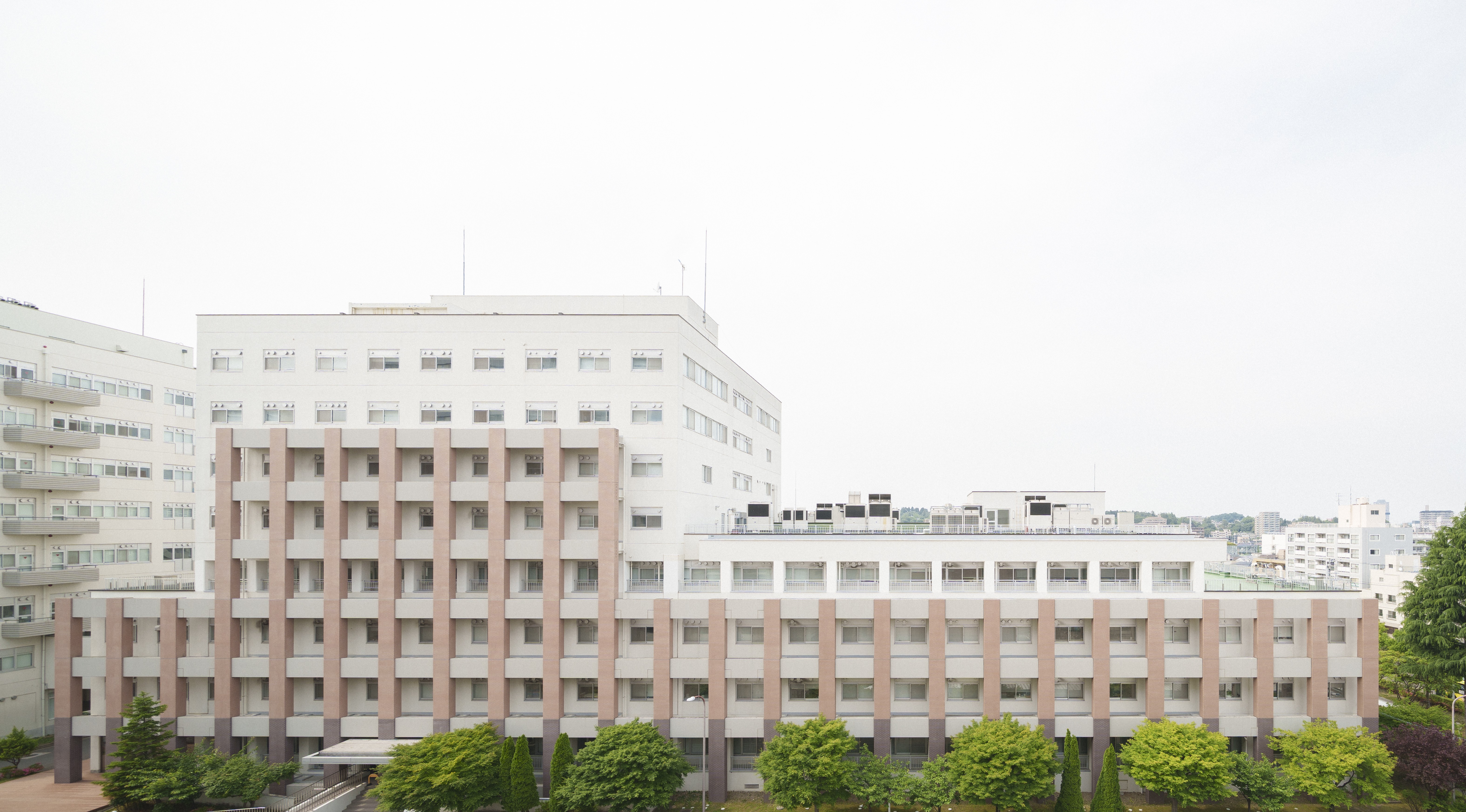 教育理念・目標｜東北大学大学院歯学研究科・歯学部